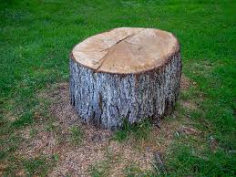 Best Commercial Tree Services  in Oxford, AL