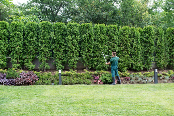 Best Mulching Services  in Oxford, AL