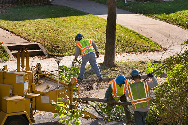 Best Seasonal Cleanup (Spring/Fall)  in Oxford, AL