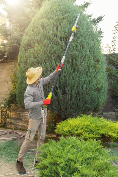 Lawn Drainage Solutions in Oxford, AL