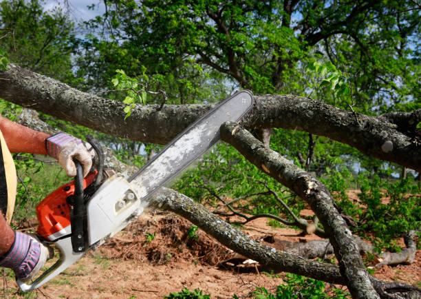 Lawn Irrigation Installation and Maintenance in Oxford, AL